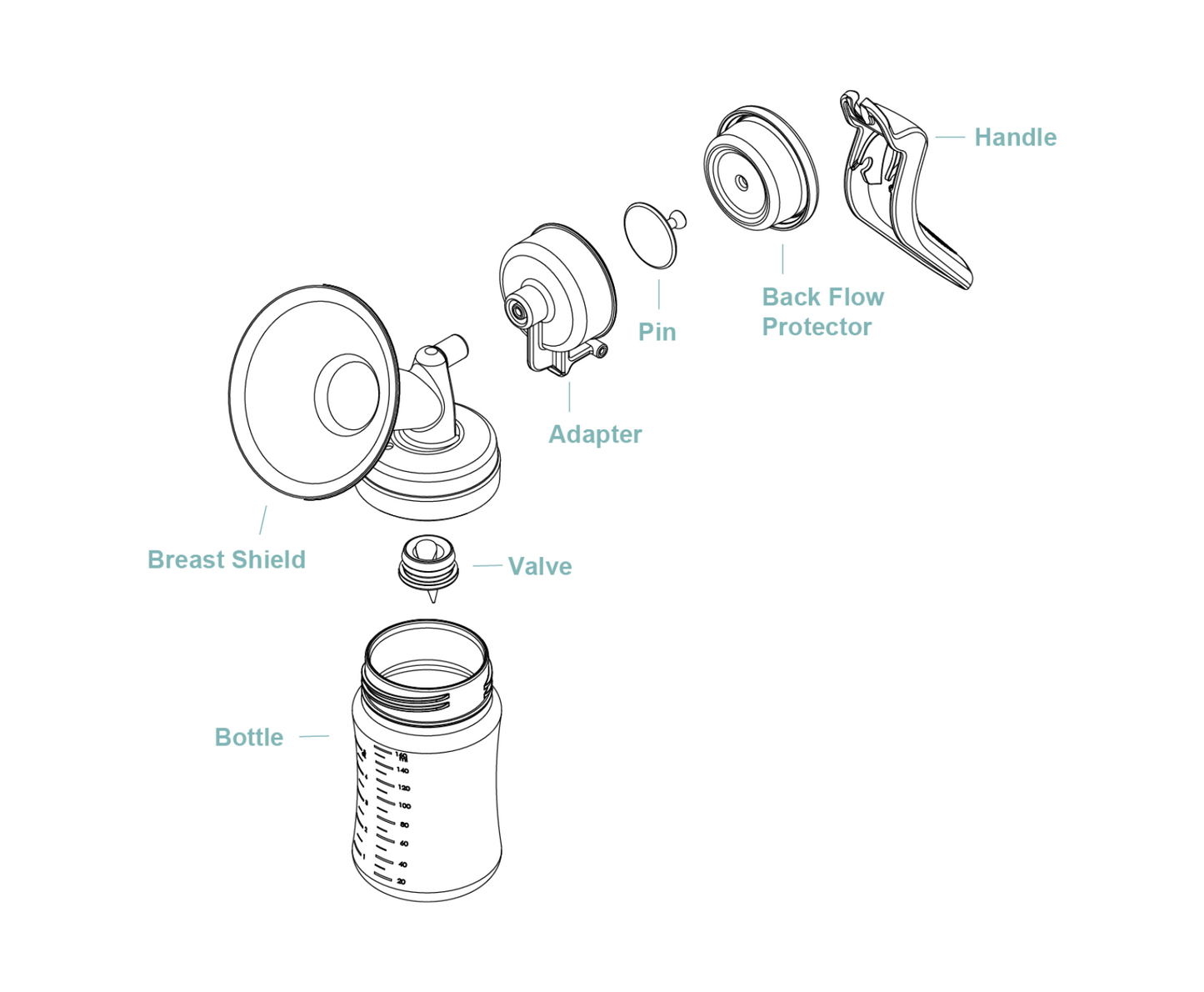 diagram of m1 handle and how to attach to breast shield and storage bottle