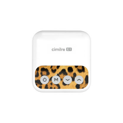 E1 Skin Decal
